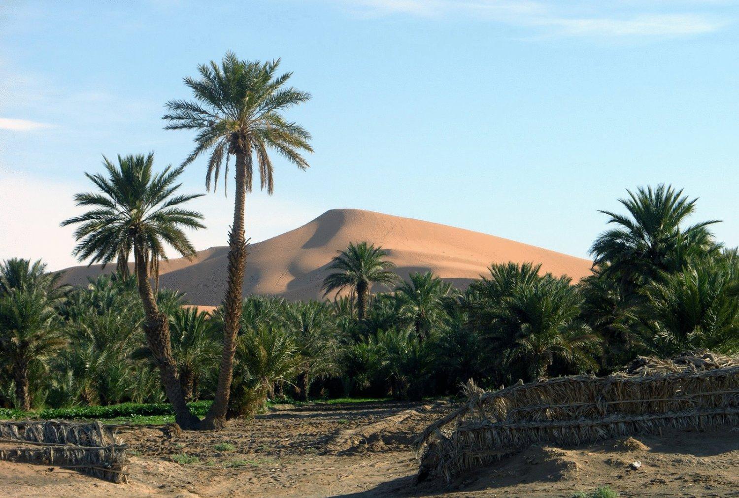Hotel Riad Oasis Merzouga Bagian luar foto